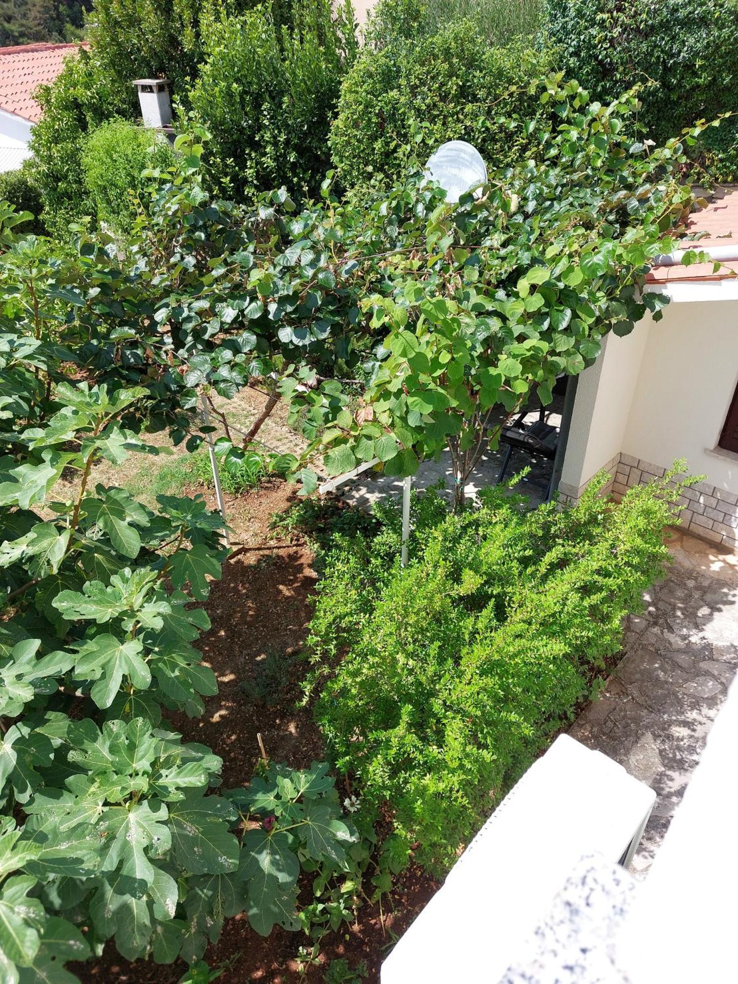 Apartment Kiwi Rabac Ngoại thất bức ảnh
